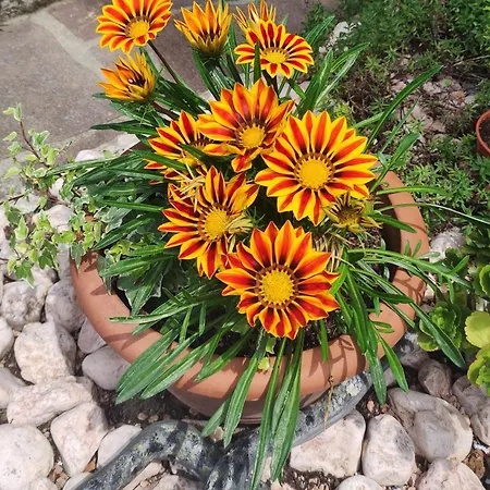 Gasthof Lora Giusta Como