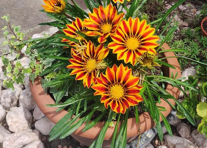 Gasthuis Lora Giusta Como